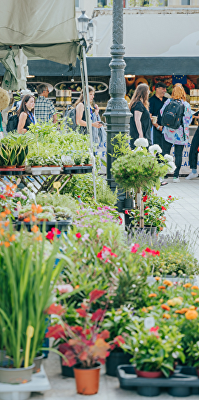 Viens faire un tour aux marchés de la capitale