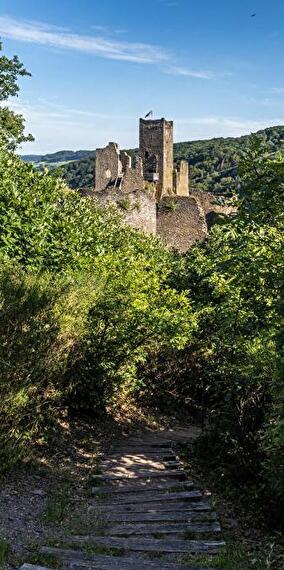 Fête Médiévale au Château de Brandenbourg