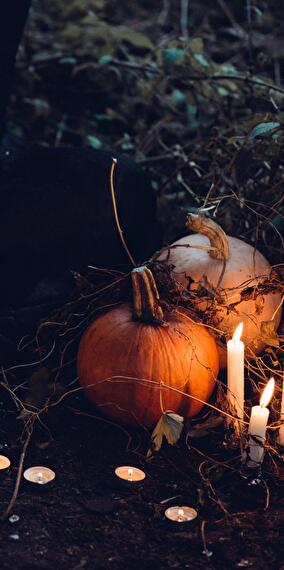 Soirée au Mad Hostel - Hôtel Hanté