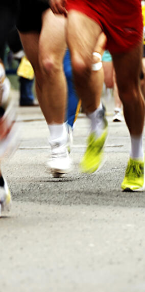 Bullfight in the Bois des Isles
