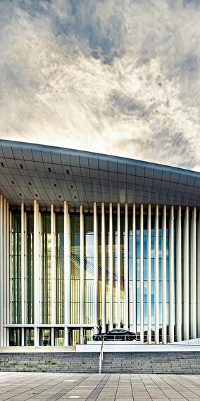 King of the Netherlands - Grand Duke of Luxembourg