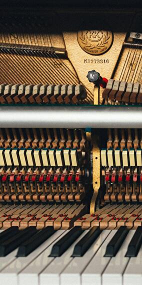 Concert d’orgue — “Les classiques de l’orgue”