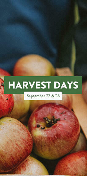Harvest Days, tous à la récolte des pommes