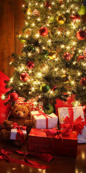 Concours Sapins de Noël