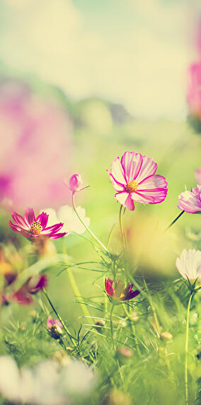 “Nature Color” Workshop with Pedro Amaral