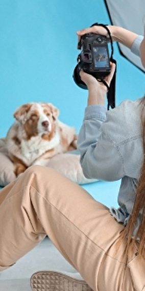 Photoshoot with Focus Animal - Golden Pet Show