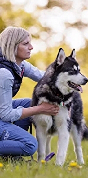 Do You Speak Dog? The Secret Language of Dogs - Golden Pet Show Conference