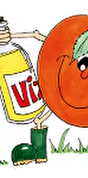 Workshop [6-8 years] - From apple tree to vine