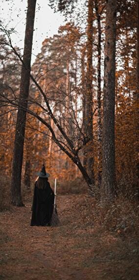 RISE - Roots, Integrate, Savor, Energy (Halloween edition)