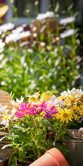 29th Gorcy Organic Fair