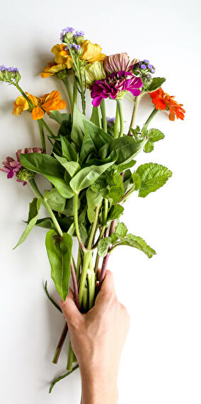 Creative Terrarium