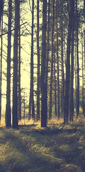 Le Jour de la Nuit 2025