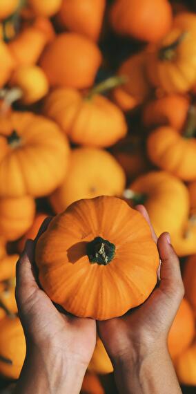 Menu Halloween