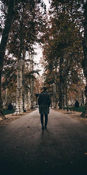 Mushroom Discovery Walk