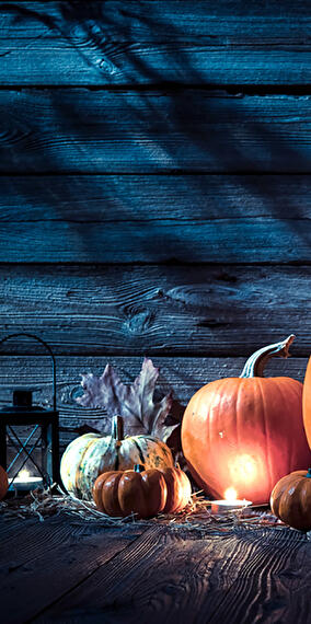 Le Samain s'invite à Mageroy – Aux origines d’Halloween