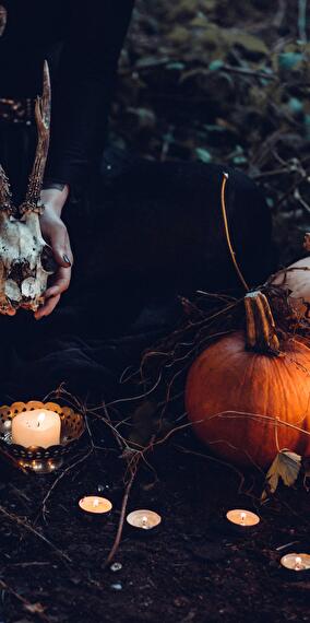 Special Noche de Muertos
