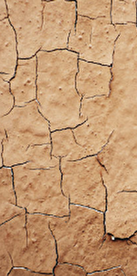 Jez Riley French / Phoebe Riley Law  - Rainy days 2025