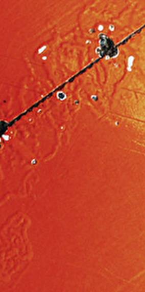 Lovemusic : I Was Wearing My Skin Unfresh - Rainy days 2025