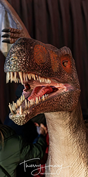 Le Musée Éphémère® des dinosaures