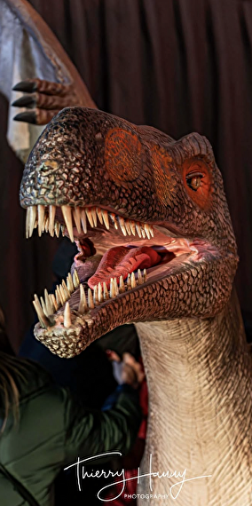 Le Musée Éphémère® des dinosaures