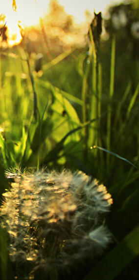 Atelier NetZeroCities : Nos déchets – notre avenir