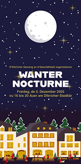 La nocturne d'hiver à Diekirch