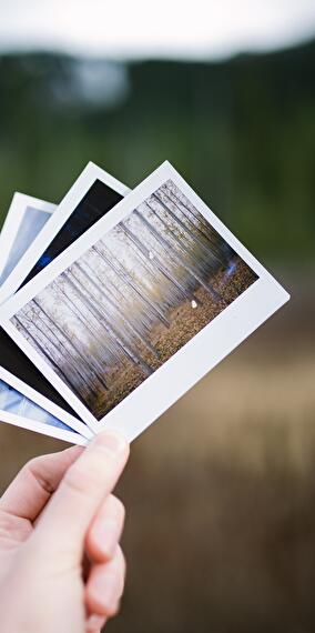 Exhibition: Photus, Award-Winning Photos of the Provincial Contest