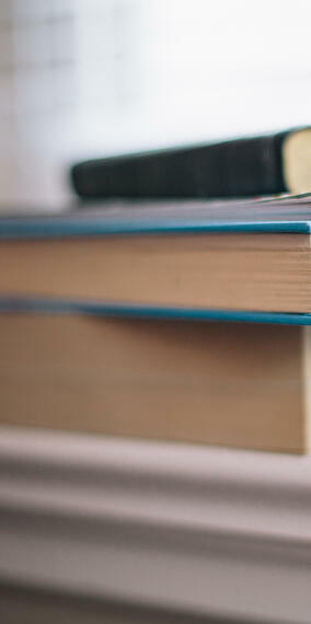 French author Dominique Letellier has published her five novels.