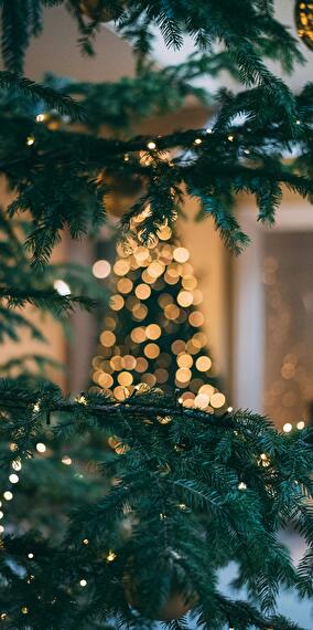 Local Market & Saint Nicholas: Enchanted Weekend at GRIDX