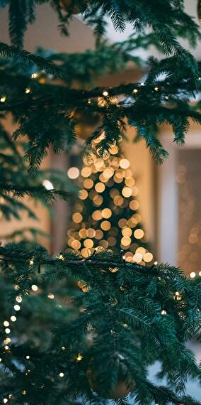 A calendar filled with pure magic with GRIDX!