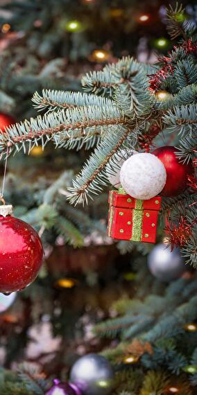 Advent weeks in Clervaux