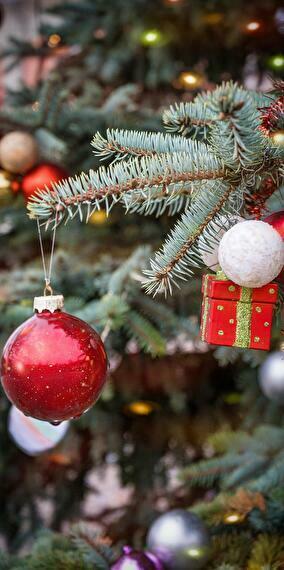 Marché de Noël de l’ACIA