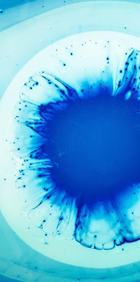 Acrylique-Art - Chouette