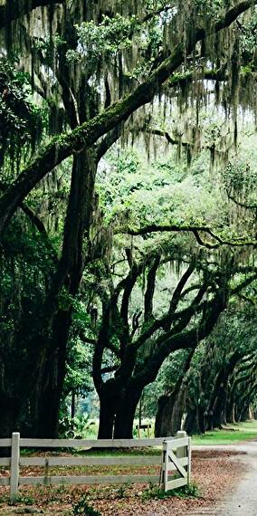 Atelier NetZeroCities