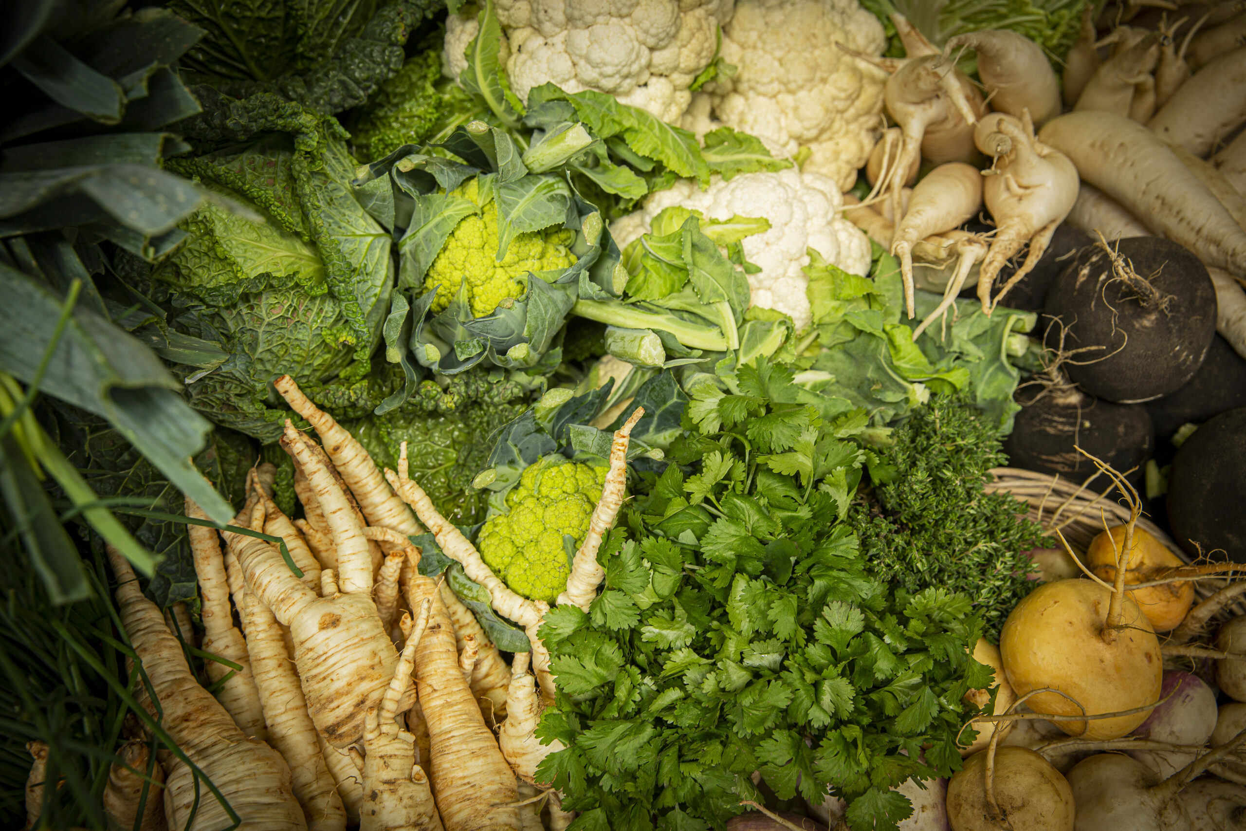 Délices culinaires verts : cours de cuisine végétarienne pour débutants