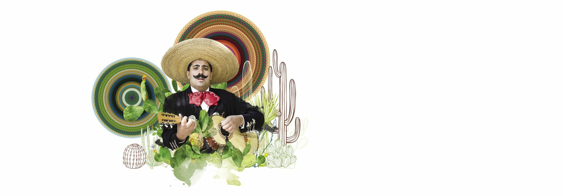 Le chanteur de Mexico