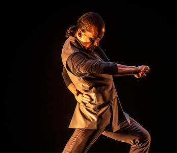 Alfonso Losa Company - dance theater