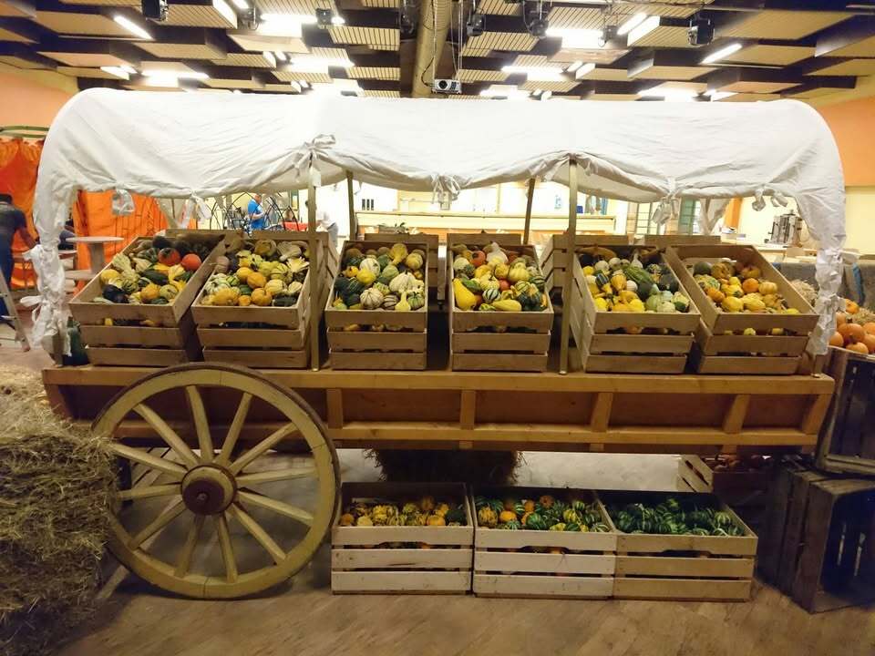 Pumpkin Weekend 2025