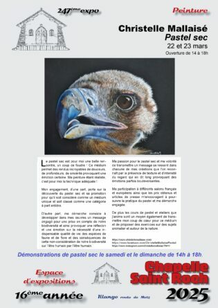 Exposition Pastel sec