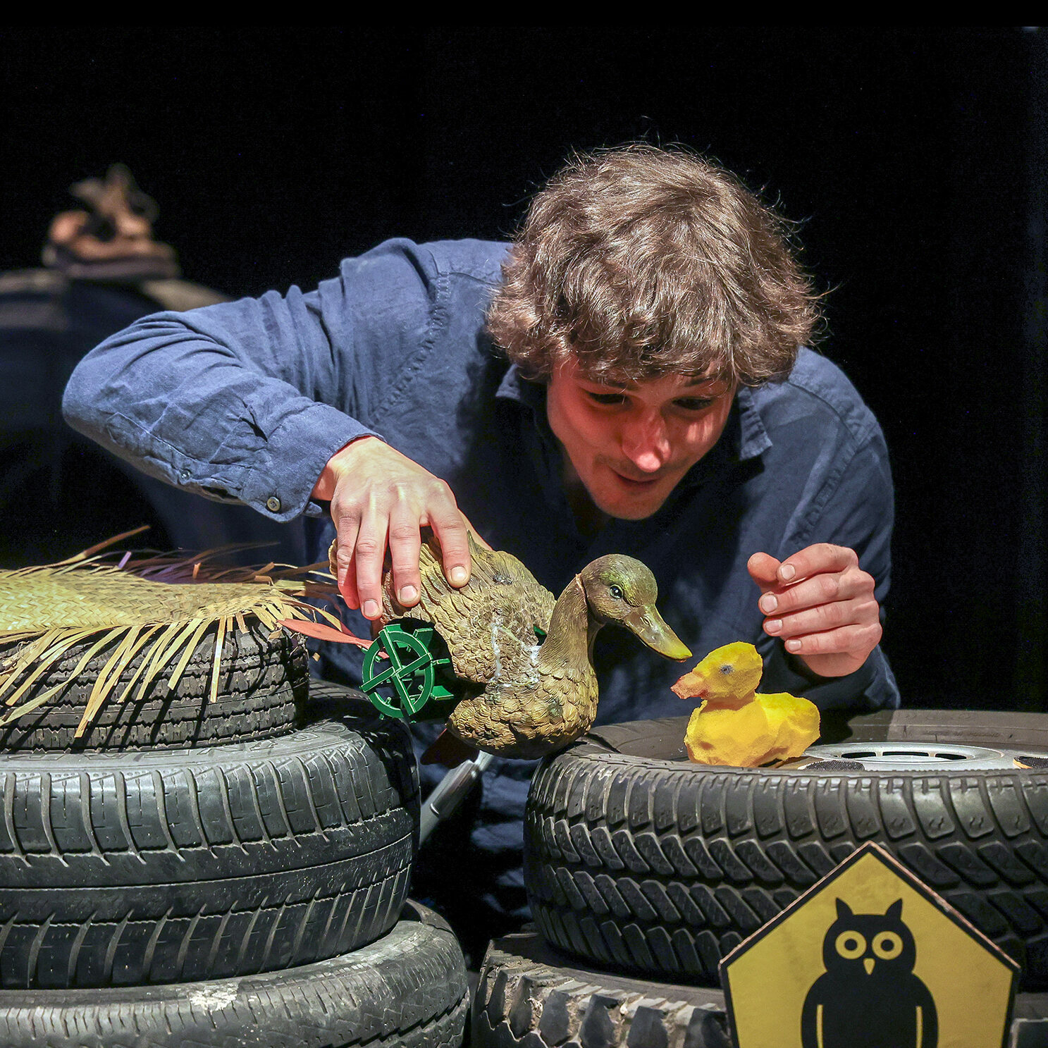 The Ugly Duckling - School Performance