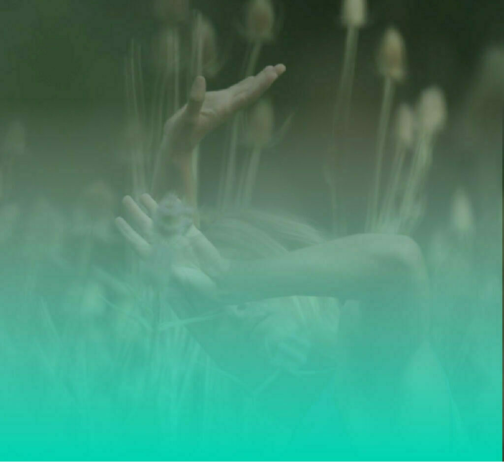 Contemporary Dance Workshop - The Four Seasons - Tanz!