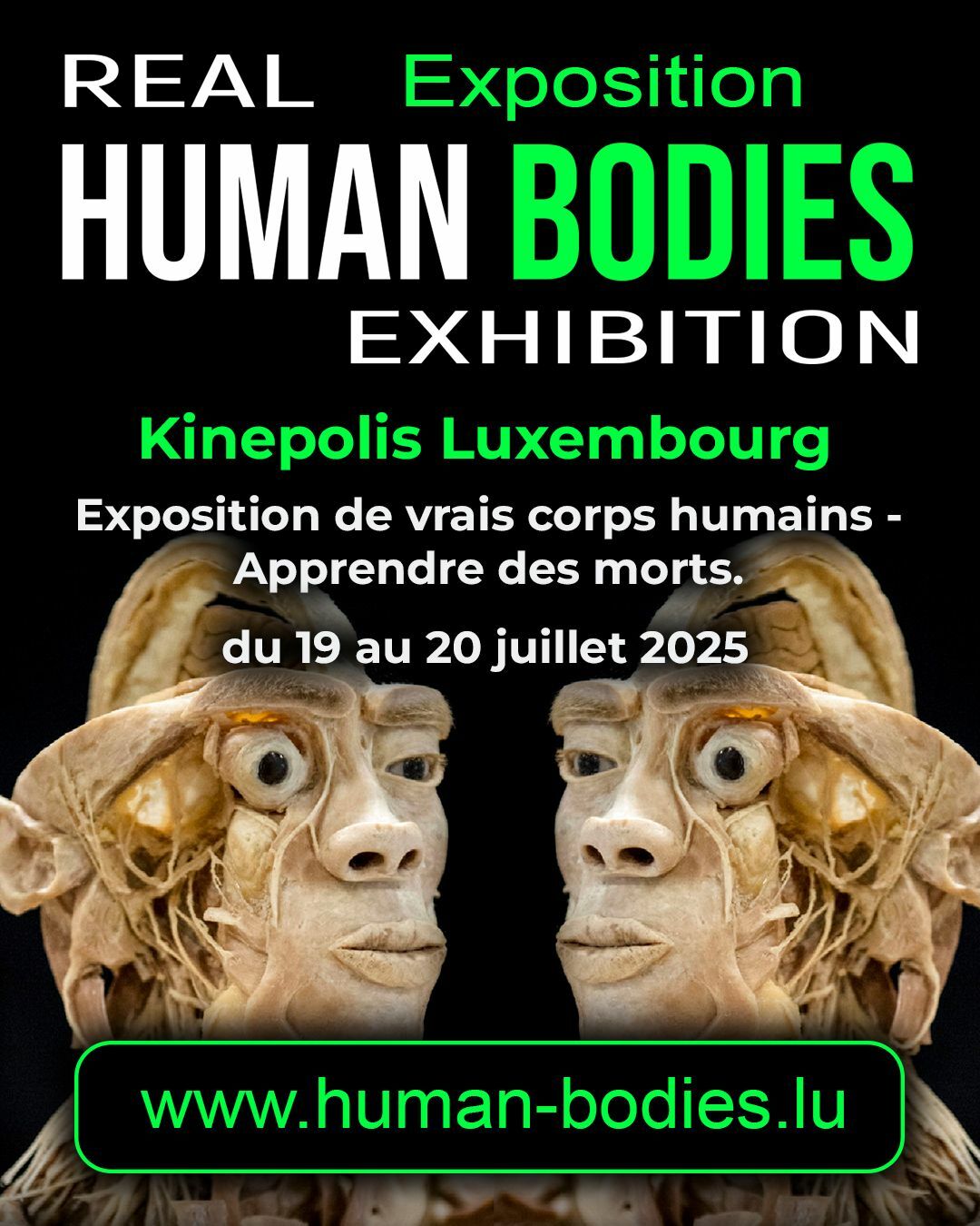 Human Bodies