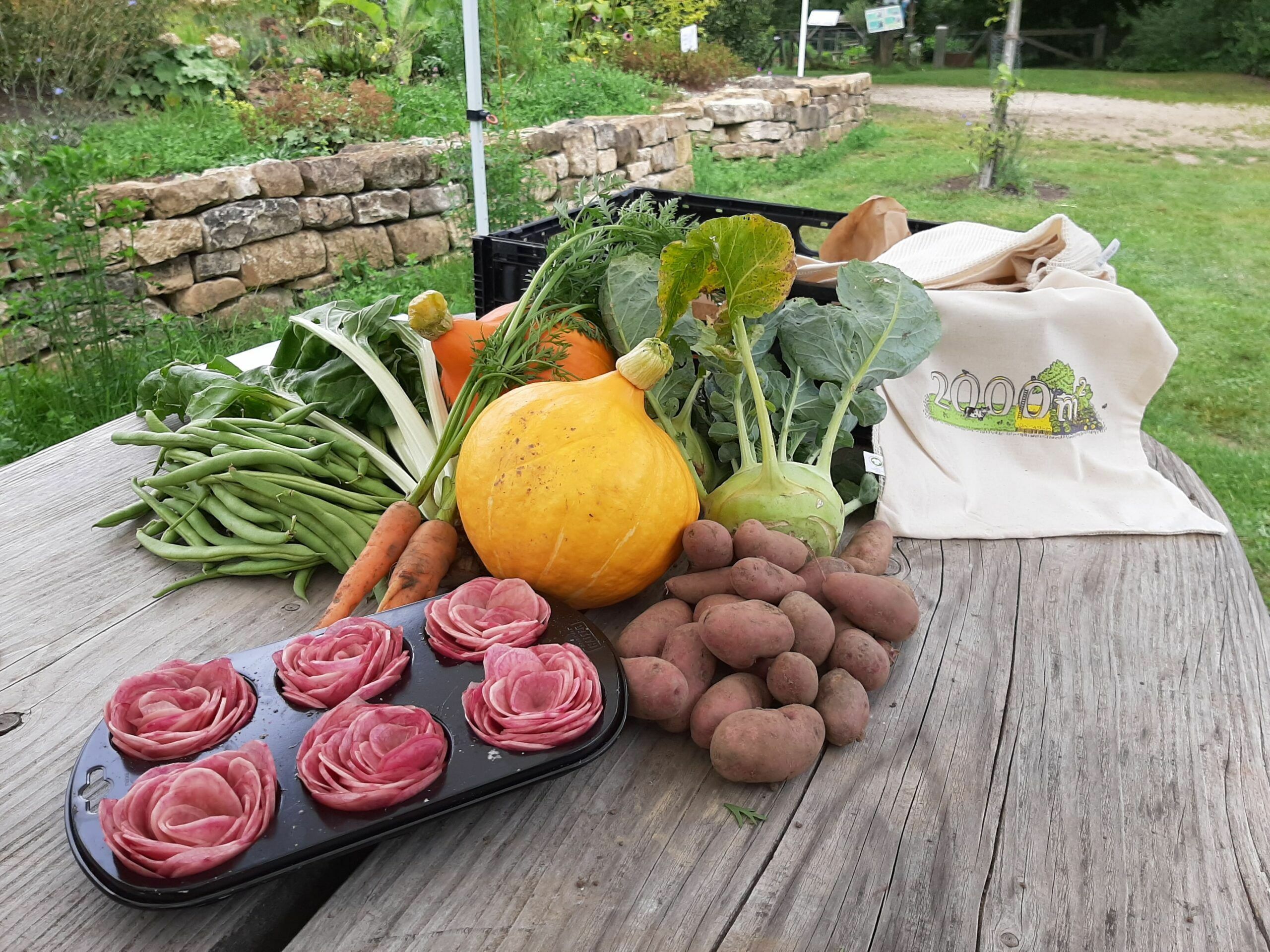 Atelier de cuisine : Votre dîner dans un parterre surélevé !