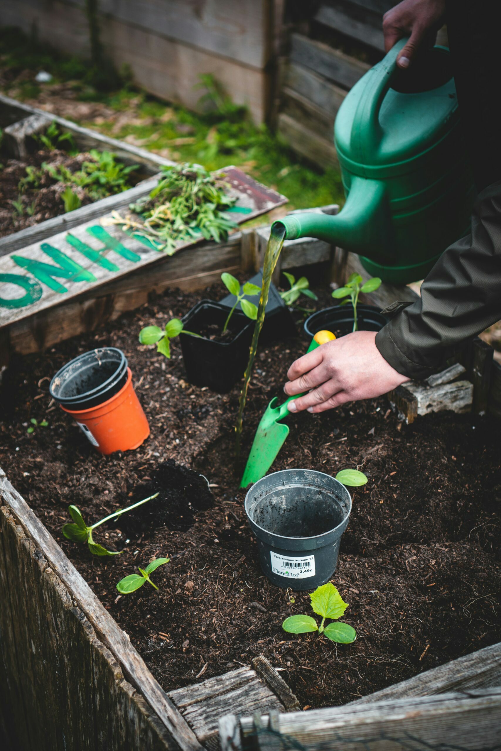 The Green Hands Workshop