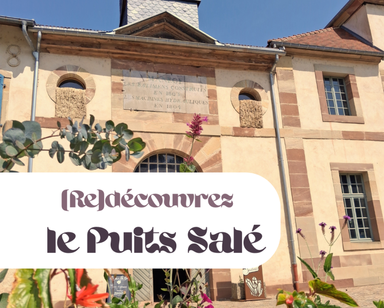 Visite commentée des Salines Royales
