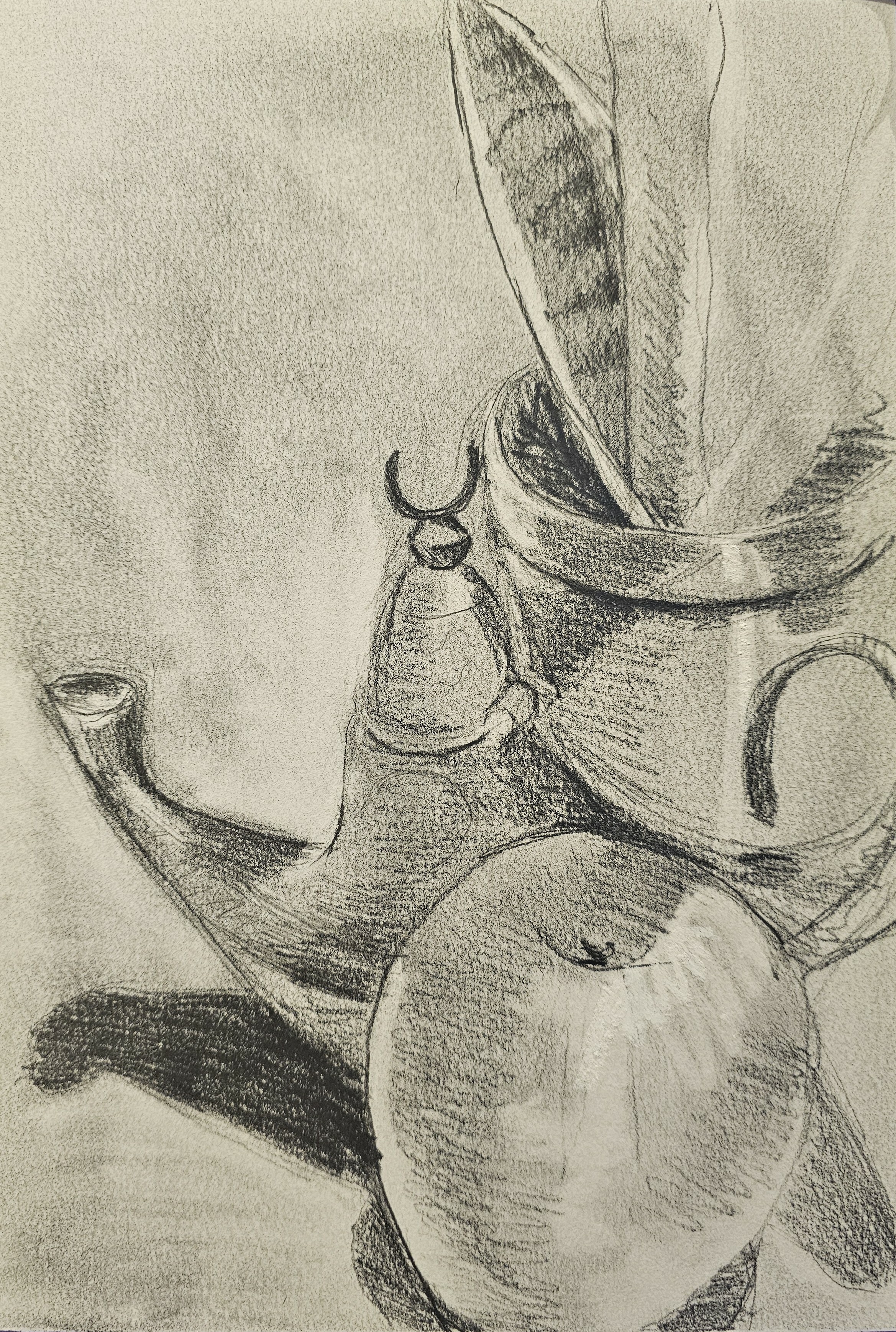 Drawing Basics: Unlock Your Artistic Potential