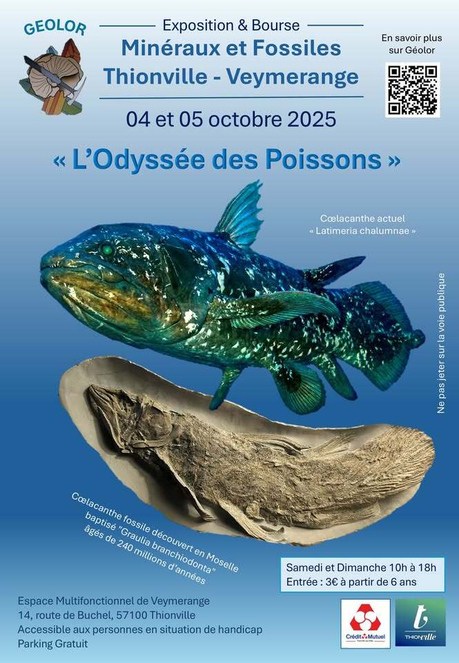 Minerals Exhibition Fair Geolor 2025