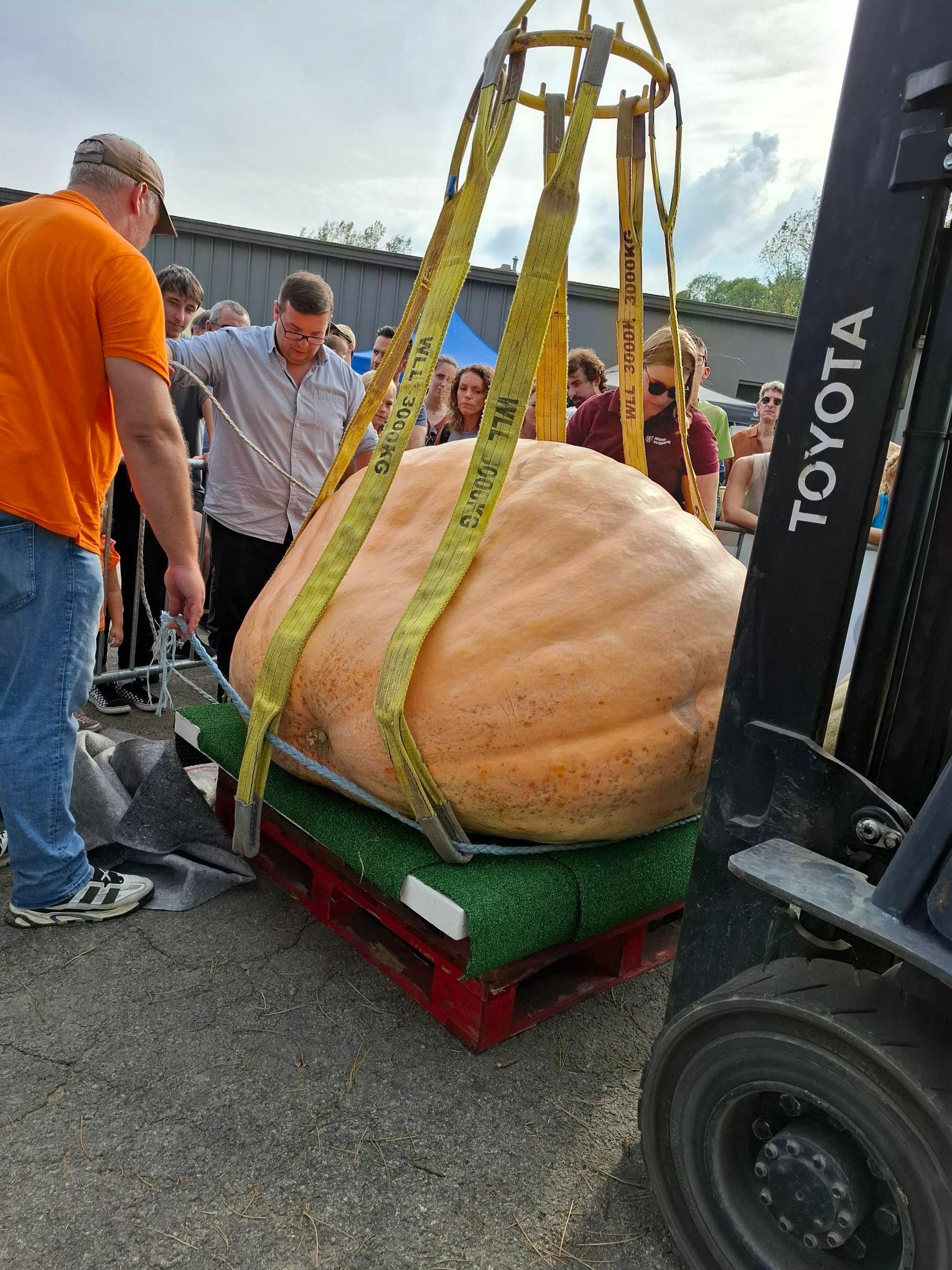 Weekend citrouille 2025