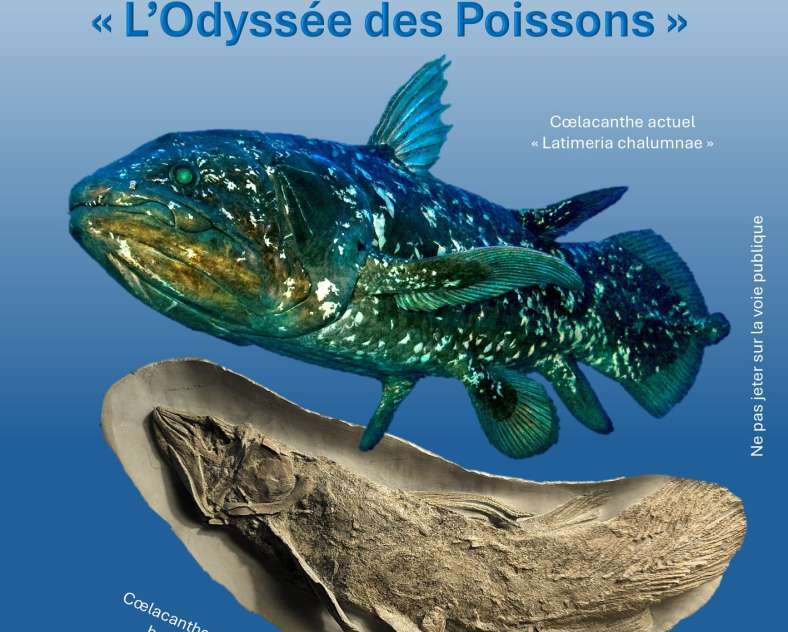 The Odyssey of Fish - Exhibition-Fair
