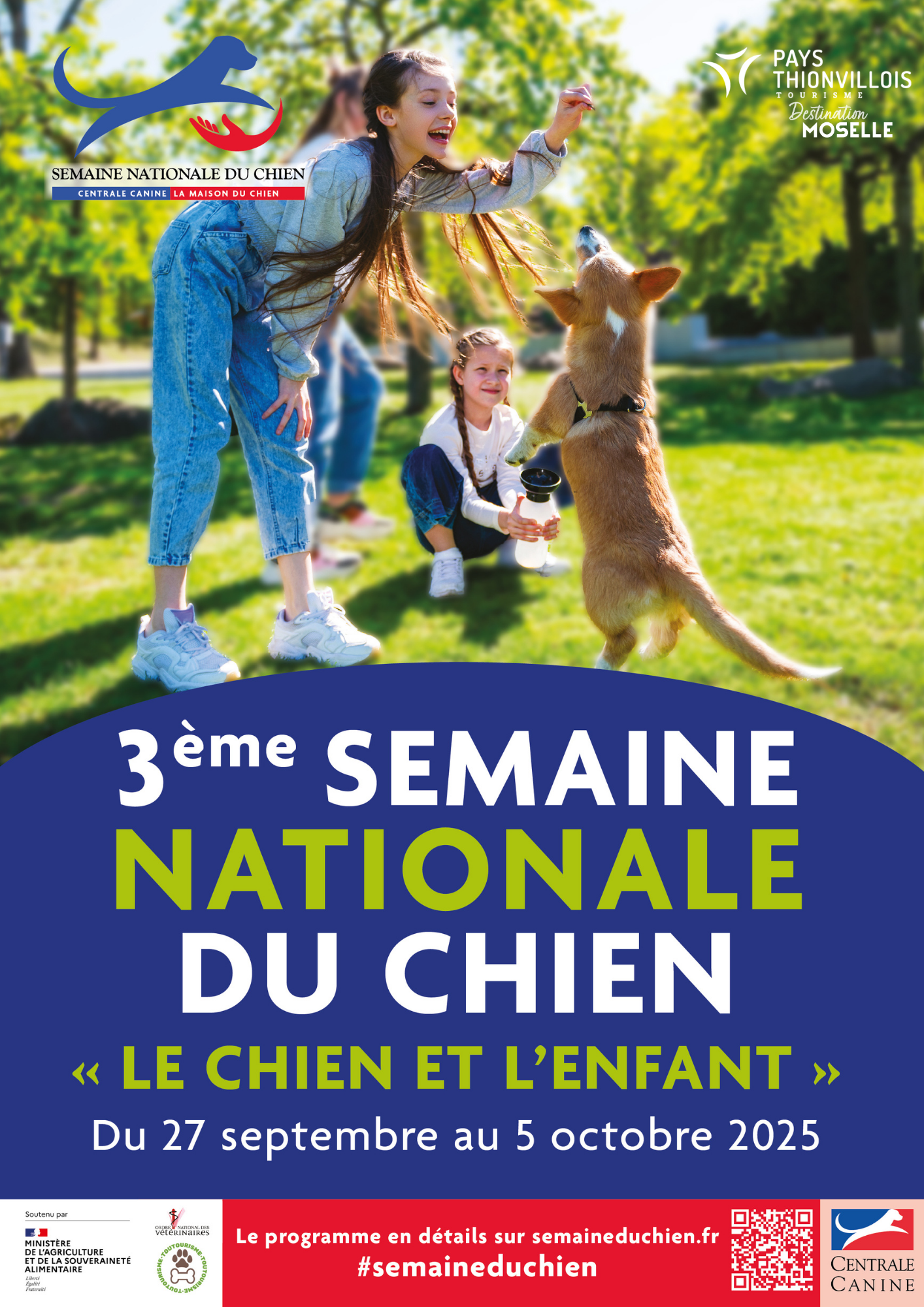 Atelier DIY pour fabriquer une balle de fouille  - Semaine Nationale du Chien
